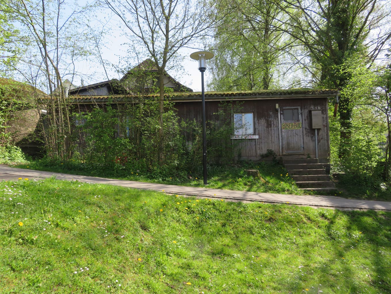 Das Pfadiheim der Pfadi Wohlen bei der Bleichi ist extrem in die Jahre gekommen und soll durch einen Neubau ersetzt werden.